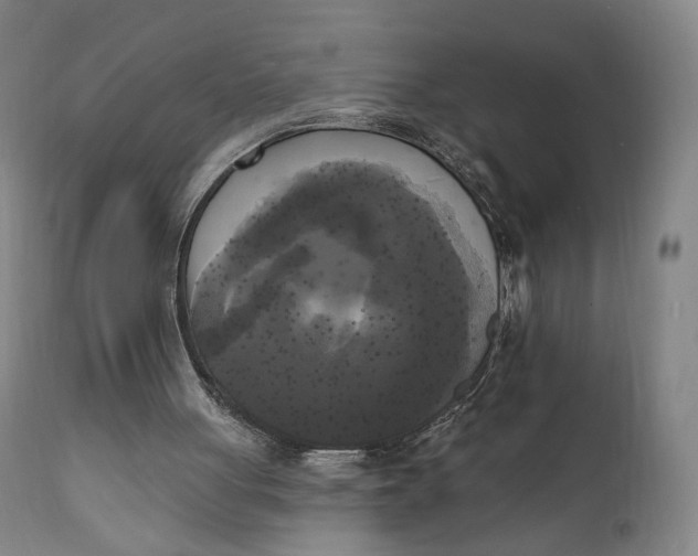 X0000111220051200907161302