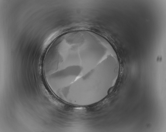 X0000111220053200907161302