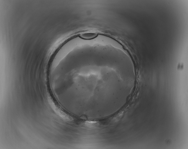 X0000111220055200907161302