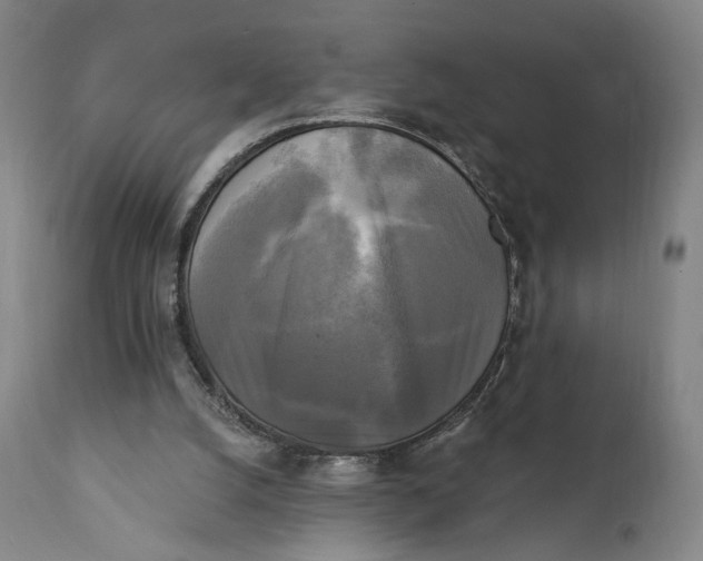 X0000111220056200907161302