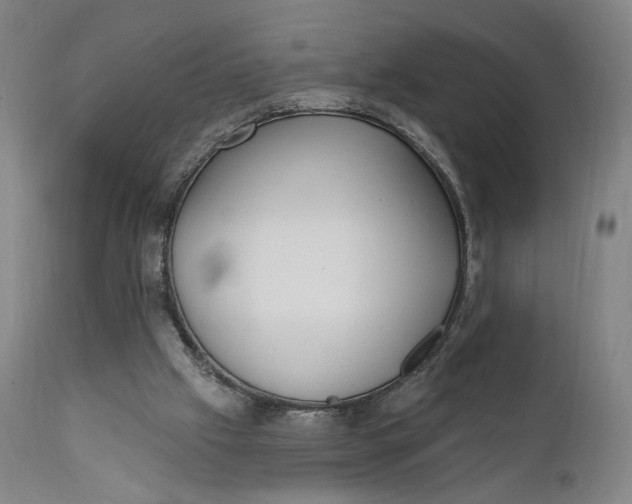 X0000111220057200907161302
