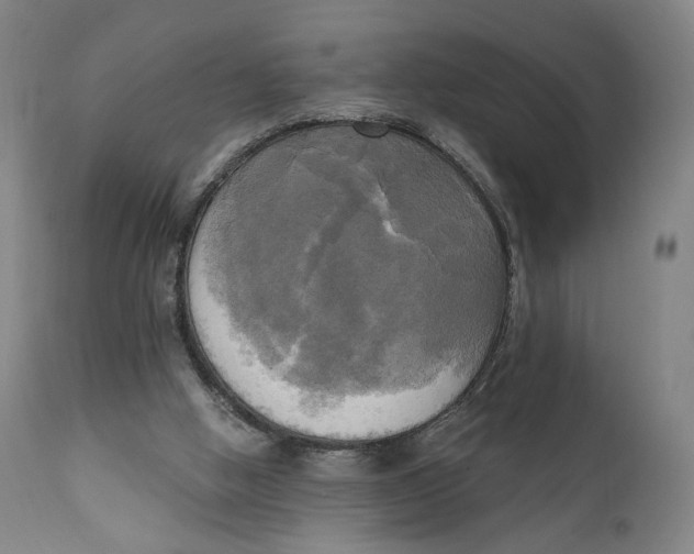 X0000111220058200907161302