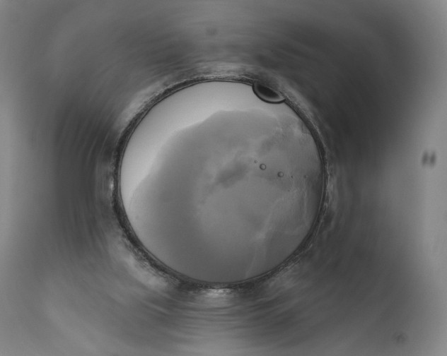 X0000111220059200907161302