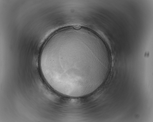 X0000111220060200907161302