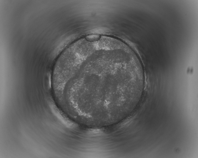 X0000111220061200907161302