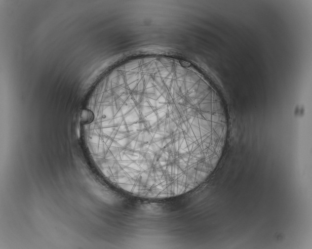 X0000111220062200907161302