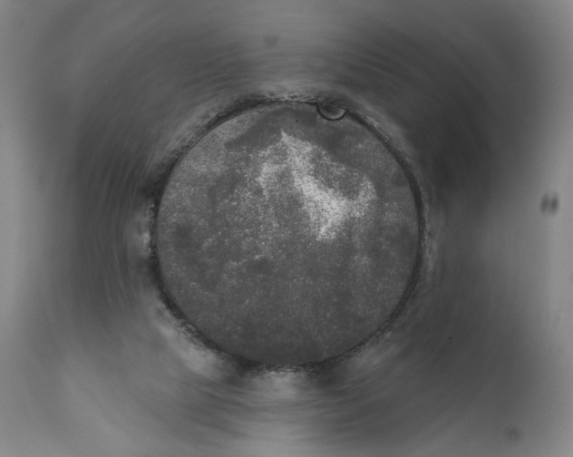 X0000111220065200907161302