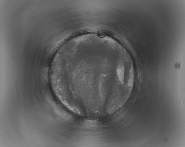 X0000111220066200907161302