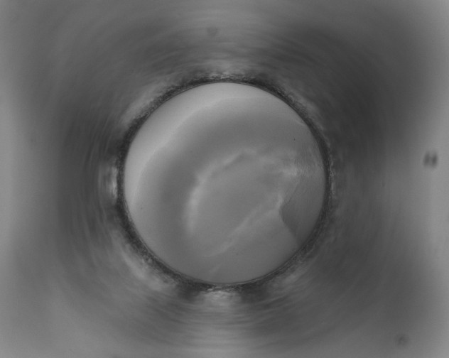 X0000111220067200907161302
