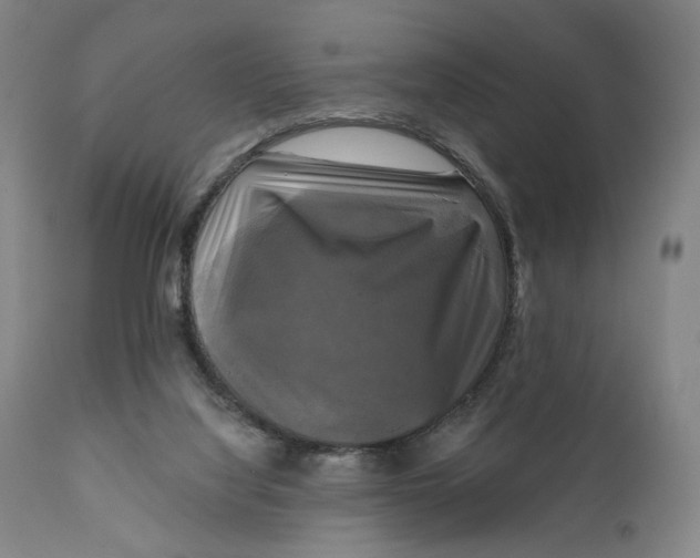 X0000111220068200907161302