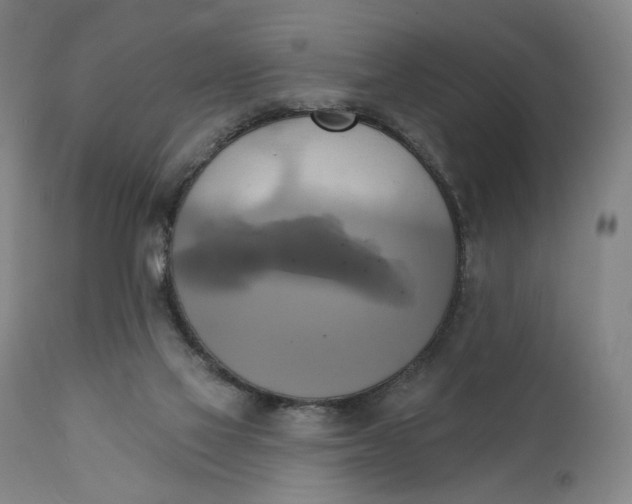 X0000111220069200907161302