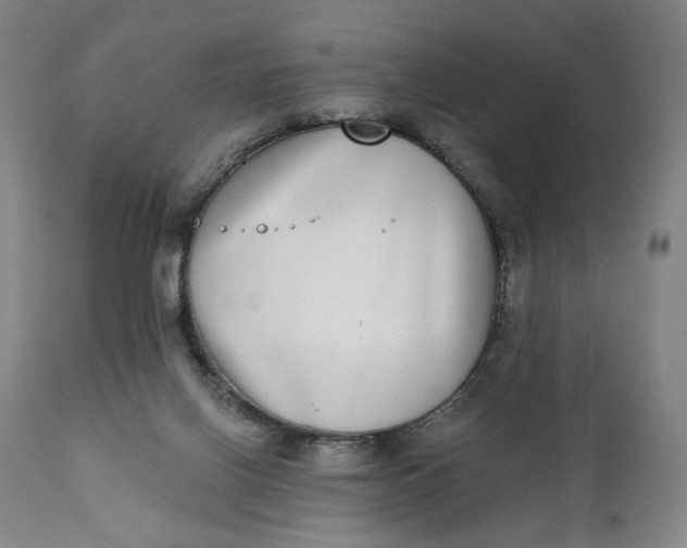 X0000111220070200907161302