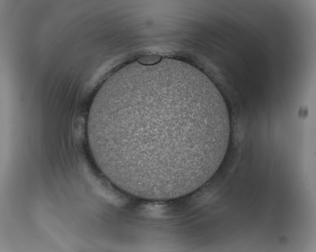 X0000111220071200907161302