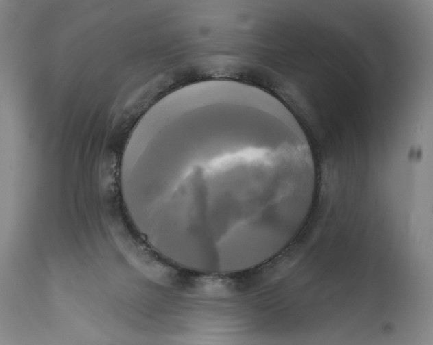 X0000111220073200907161302