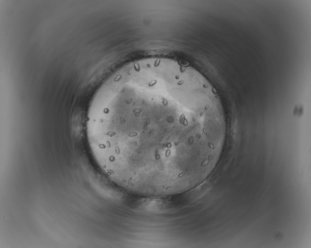 X0000111220074200907161302