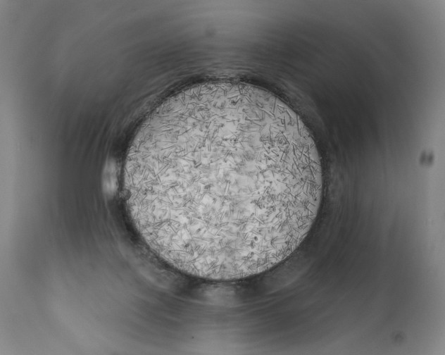 X0000111220075200907161303