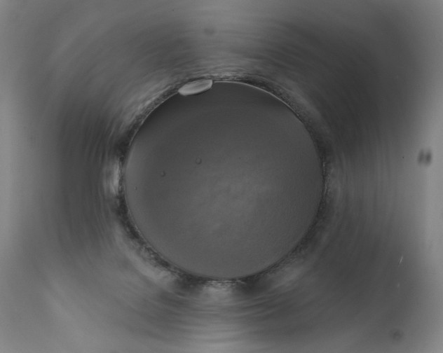 X0000111220076200907161303