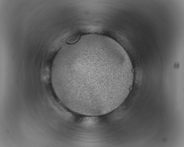 X0000111220077200907161303