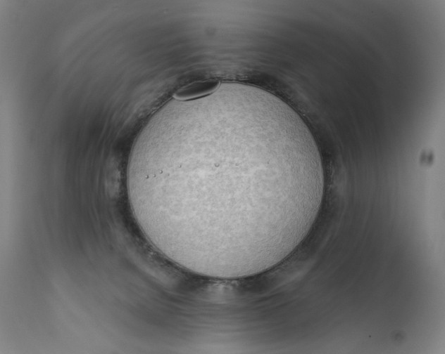 X0000111220080200907161303
