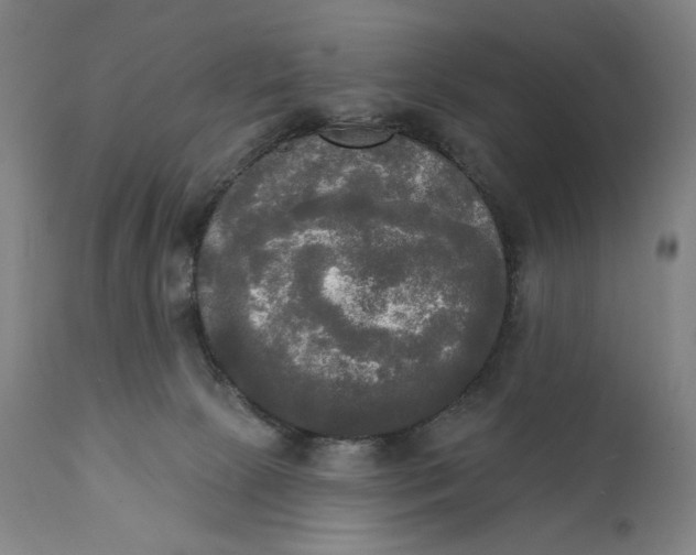 X0000111220081200907161303