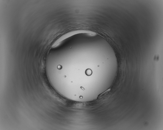 X0000111220084200907161303