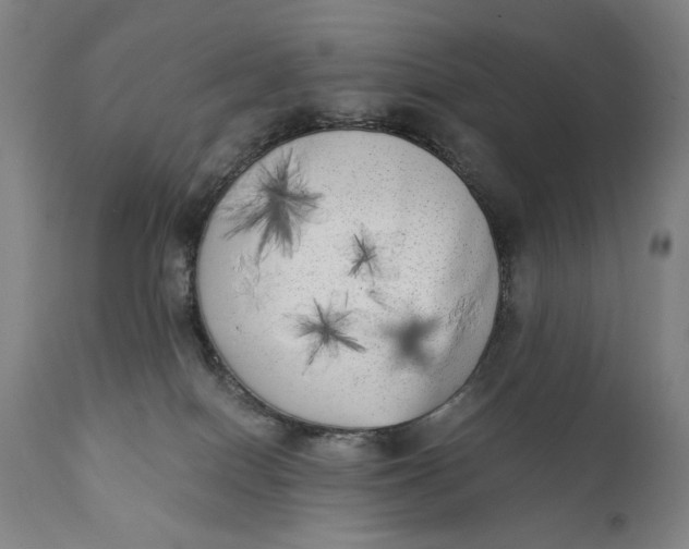 X0000111220086200907161303