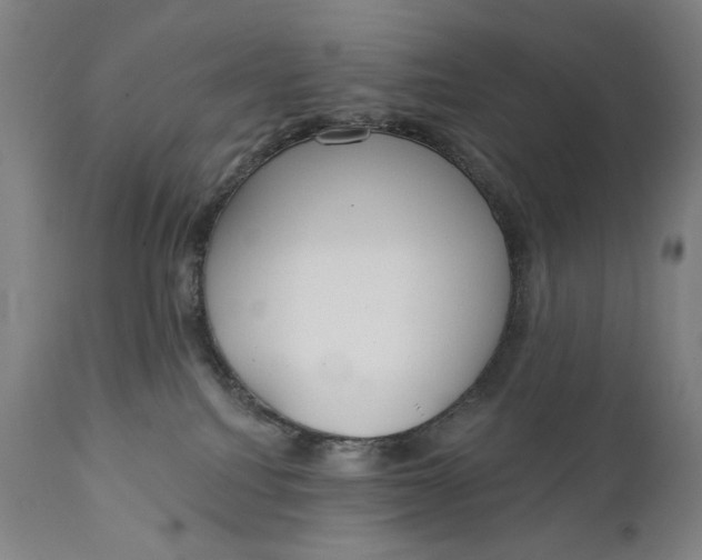 X0000111220088200907161303