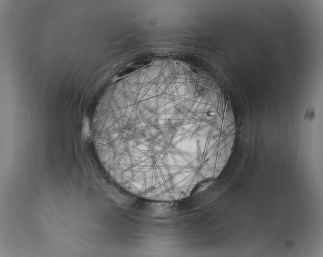 X0000111220089200907161303