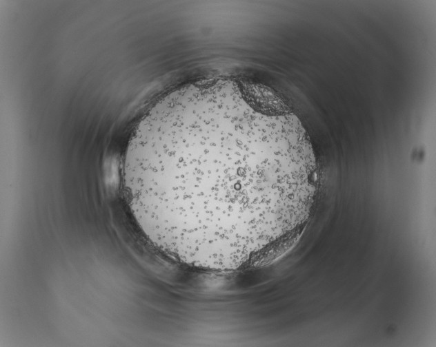 X0000111220094200907161303