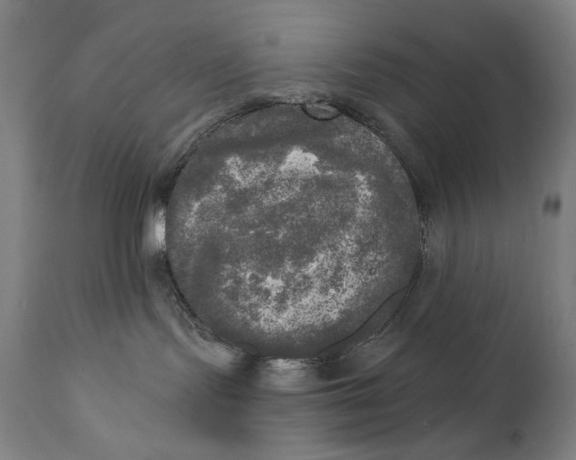 X0000111220095200907161303