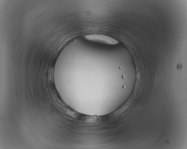 X0000111220096200907161303