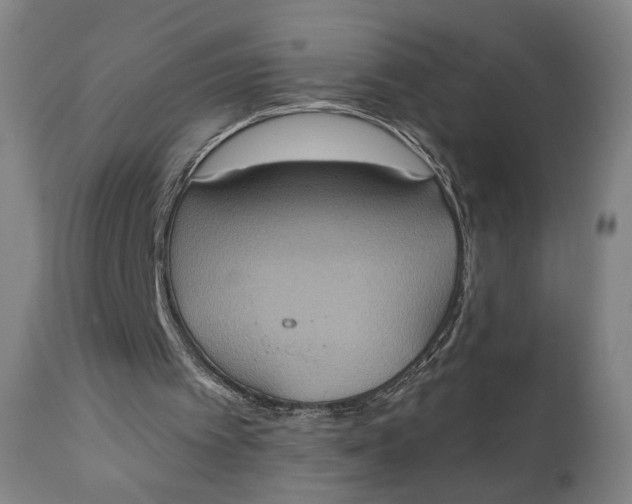 X0000111220097200907161302