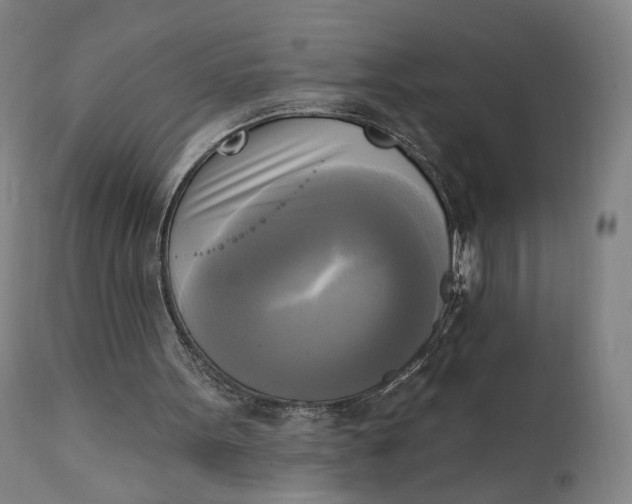 X0000111220099200907161302