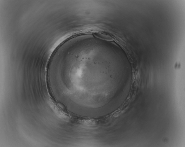 X0000111220100200907161302