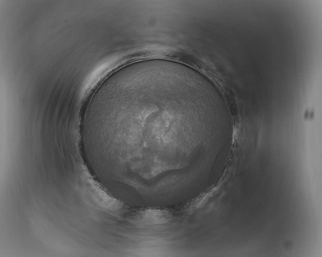 X0000111220101200907161302