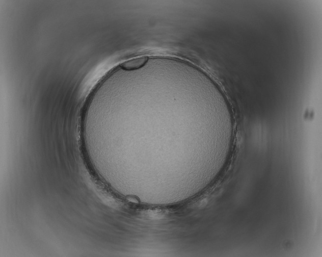 X0000111220103200907161302