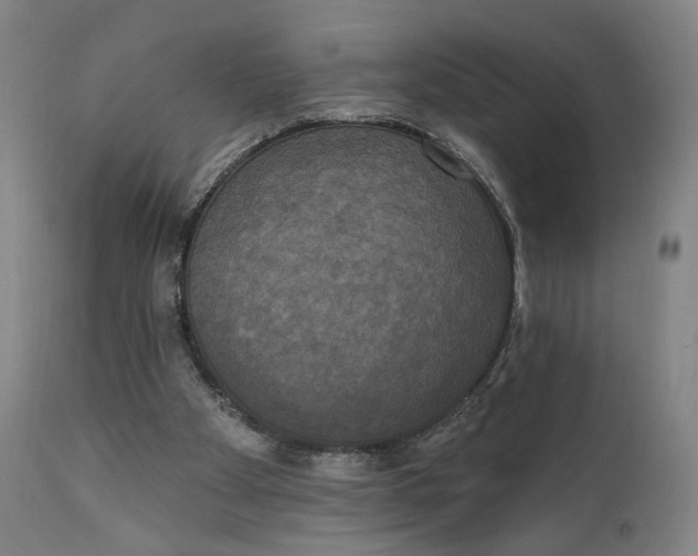 X0000111220105200907161302