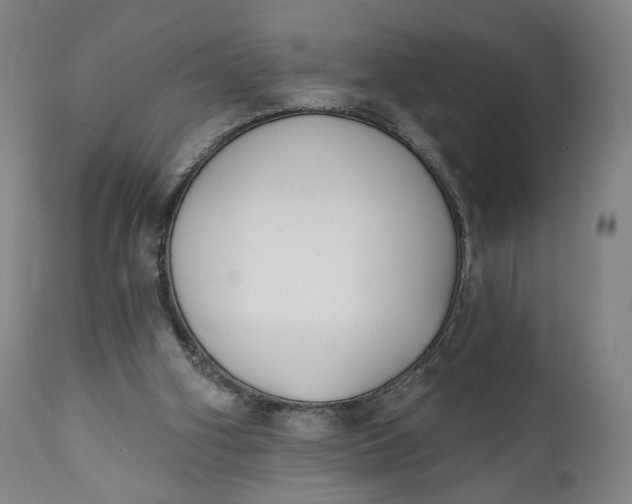 X0000111220106200907161302