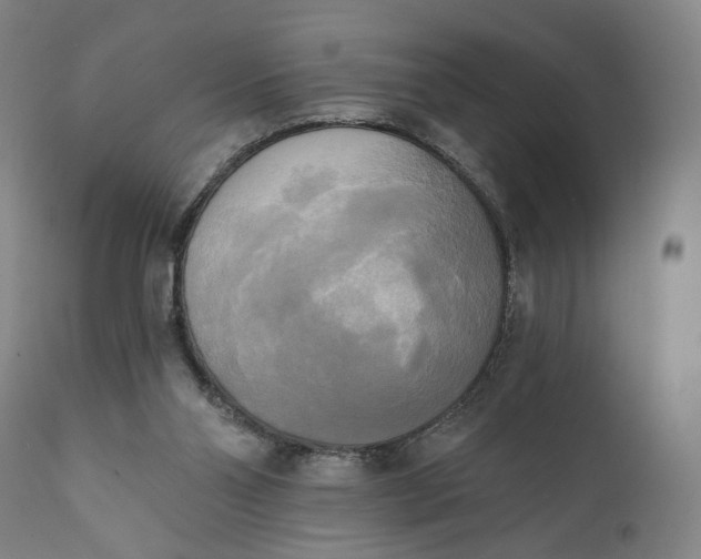 X0000111220110200907161302