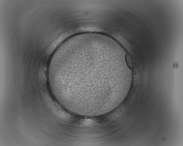X0000111220111200907161302