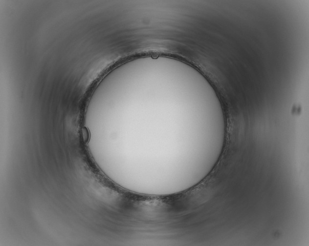 X0000111220112200907161302