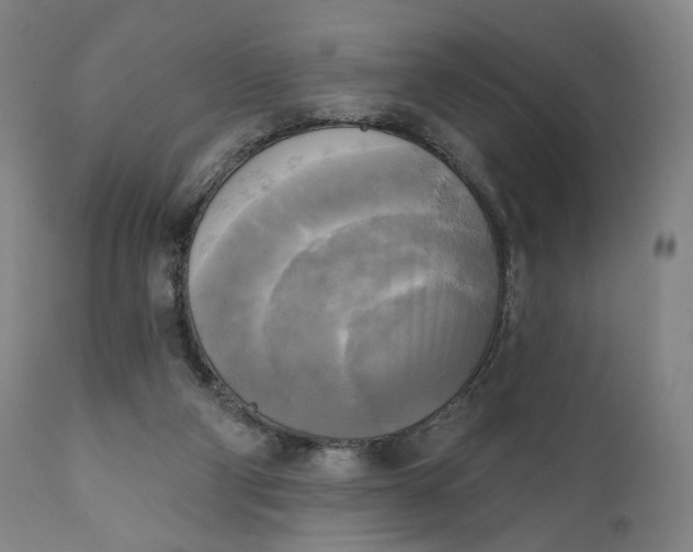 X0000111220114200907161302