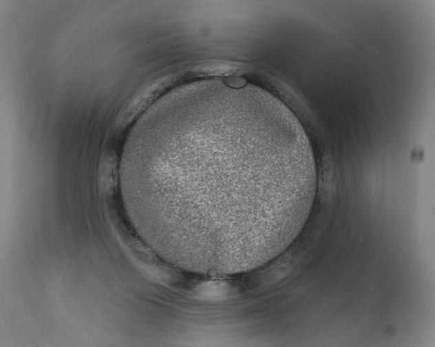 X0000111220119200907161302