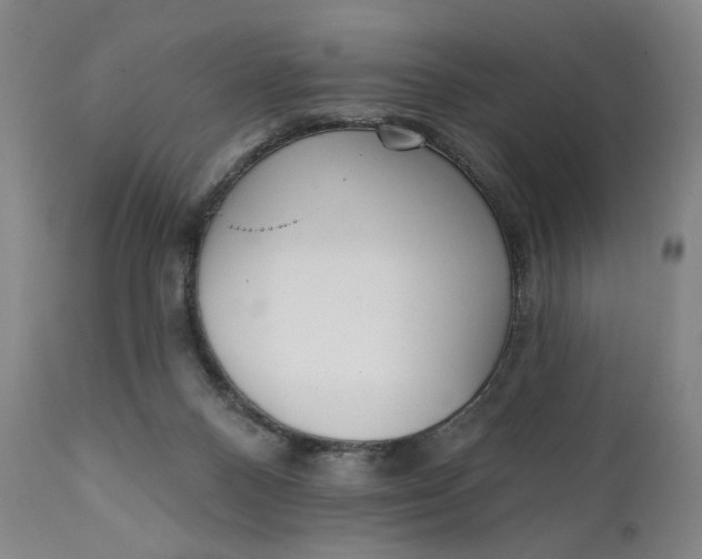 X0000111220120200907161302