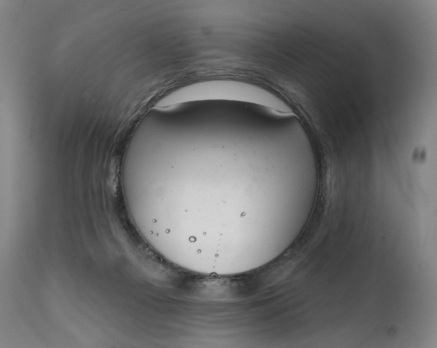 X0000111220121200907161302