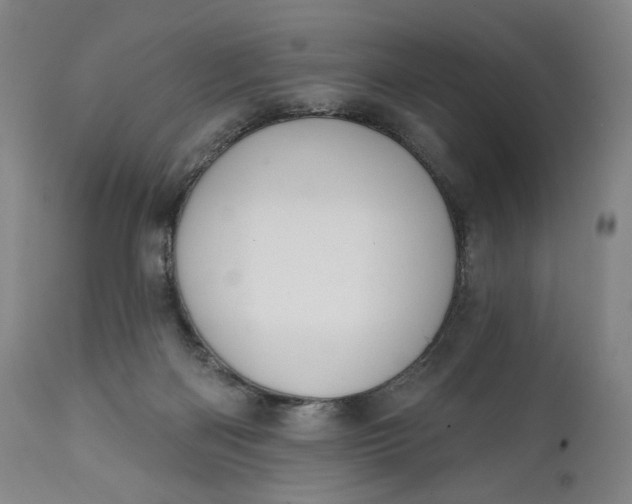 X0000111220122200907161302
