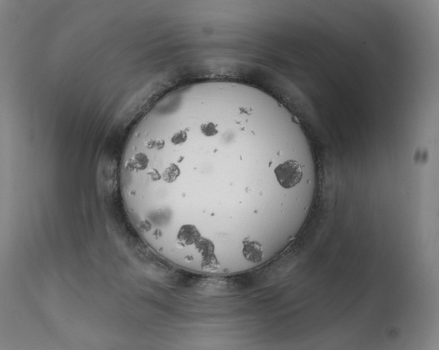 X0000111220123200907161302