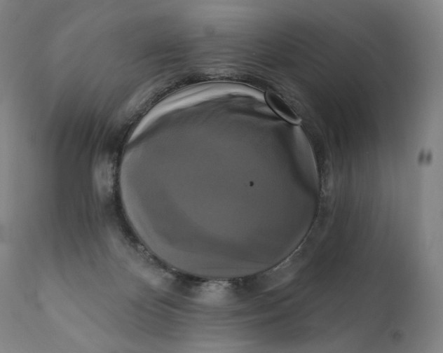 X0000111220124200907161302