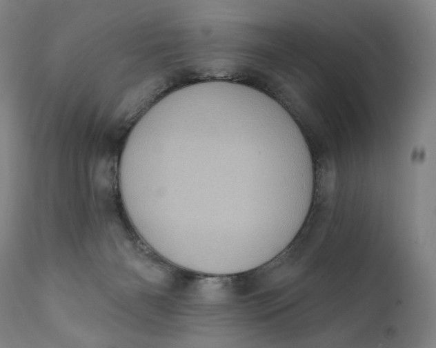 X0000111220126200907161302