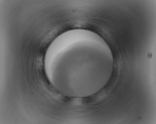 X0000111220127200907161302